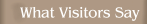 What Visitors Say